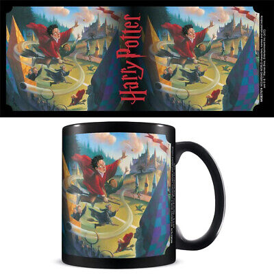 Harry Potter (Book 1 Quidditch)